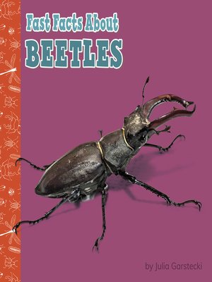cover image of Fast Facts About Beetles
